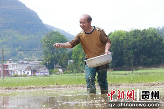 上司镇筹洞村群众正在育秧 上司镇筹洞村群众正在育秧