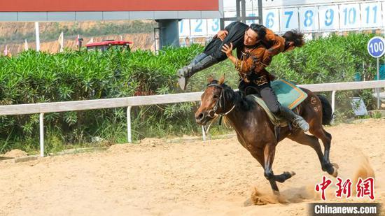 图为骑手表演马背上的特技。陈洋昕 摄