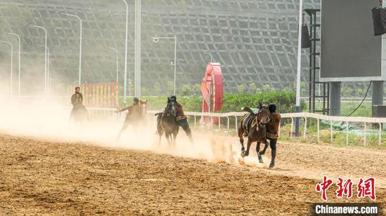 图为骑手表演马背上的特技。陈洋昕 摄