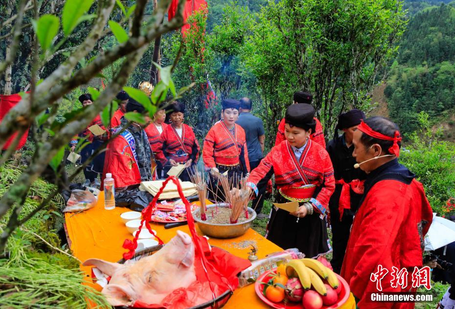 图为古树茶祭茶仪式。杨宗盛 摄