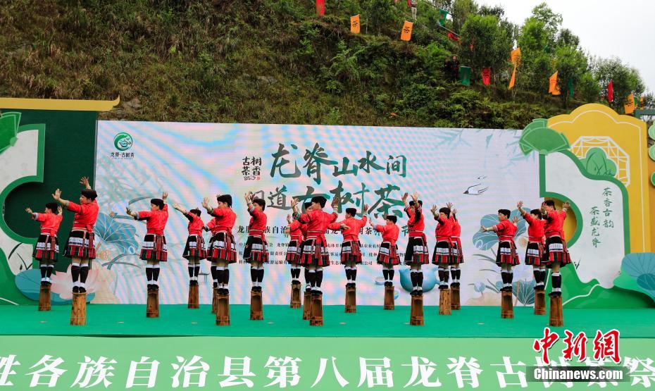 图为第八届龙脊古树茶祭茶节活动现场。杨宗盛 摄