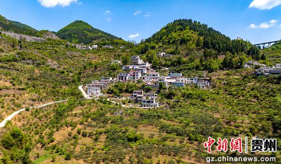 无人机拍摄黔西市古胜村樱桃园 无人机拍摄黔西市古胜村樱桃园