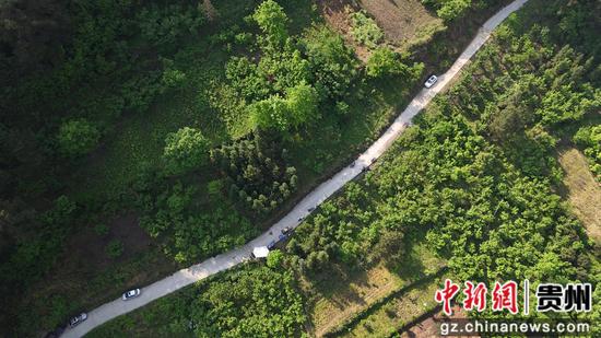 剑河县岑松镇巫门村樱桃种植基地。彭开燚 摄