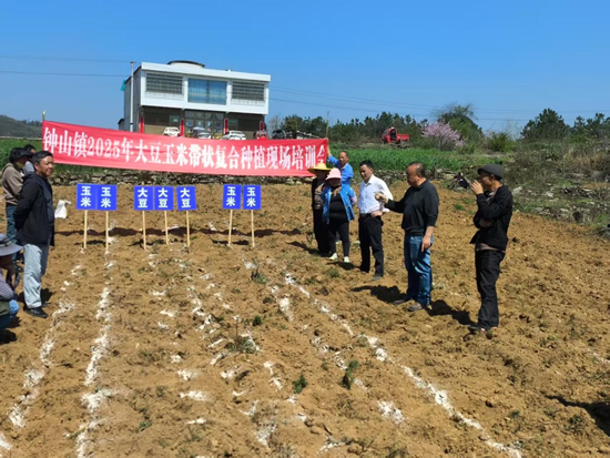 贵州黔西市农业技术专家到钟山镇开展大豆玉米带状复合种植培训 贵州黔西市农业技术专家到钟山镇开展大豆玉米带状复合种植培训