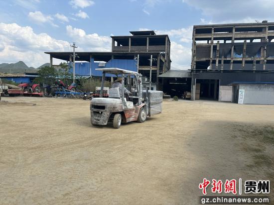 育秧基地 育秧基地