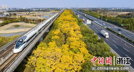 俯瞰沪杭甬高速。陈勇 摄 俯瞰沪杭甬高速。陈勇 摄