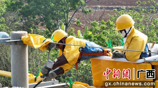 “五一”前,北海供电局对涠洲岛配网线路开展带电消缺作业,确保电力设备健康”在岗“。阳文志 摄