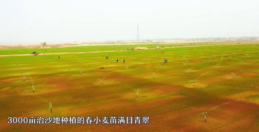 新疆洛浦縣杭桂鎮(zhèn)：7800畝沙地變身“綠色銀行”