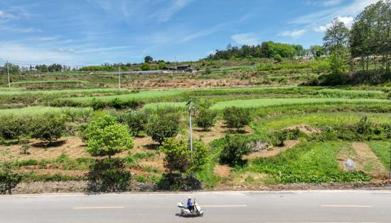 ↑ 4月19日，陈星星骑行在家乡的道路上。