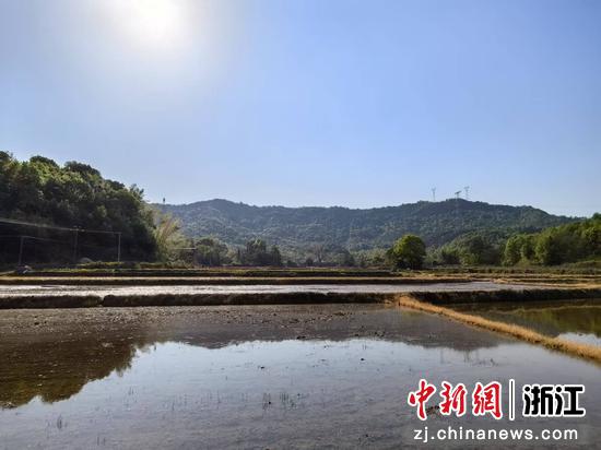 远眺月塘村 作者供图