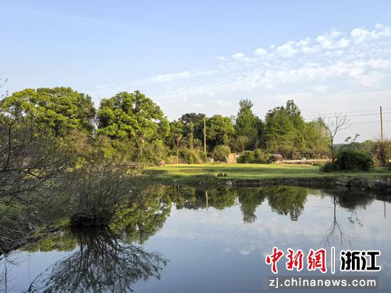 金溪田园风光 作者供图