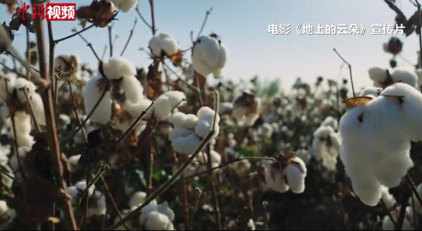 《地上的云朵》上映 纪录新疆棉农生活诗篇