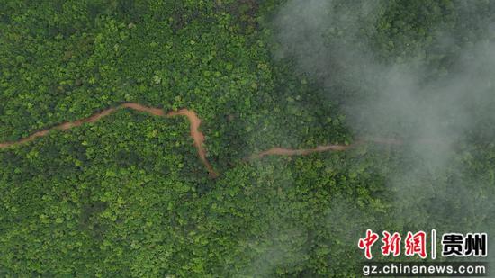 灵芝基地航拍图。杨家孟 摄 灵芝基地航拍图。杨家孟 摄