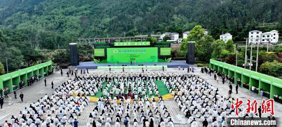 2025第六届茶业大会8日在贵州江口开幕,图为活动现场。杨飞 摄 2025第六届茶业大会8日在贵州江口开幕,图为活动现场。杨飞 摄
