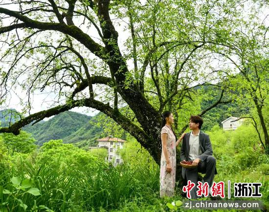 新人在枣树王前打卡。淳安县委宣传部供图