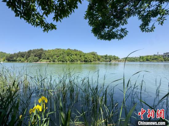 5月12日,阅山湖公园生态美。唐哲 摄 5月12日,阅山湖公园生态美。唐哲 摄