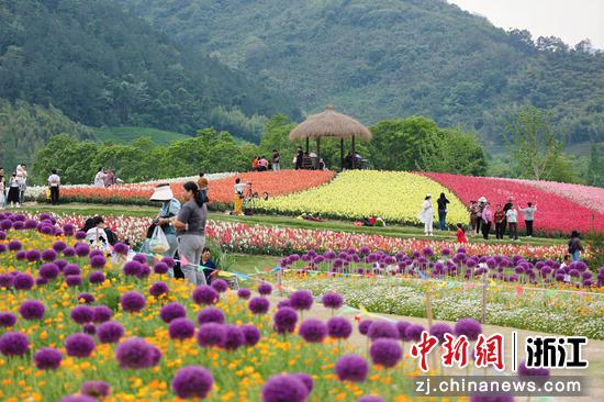 位于余杭区的径山花海。主办方供图