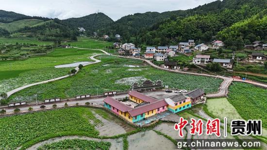 岑巩县客楼镇下寨村的荷花基地与农家相映成景。陈昆 摄 岑巩县客楼镇下寨村的荷花基地与农家相映成景。陈昆 摄