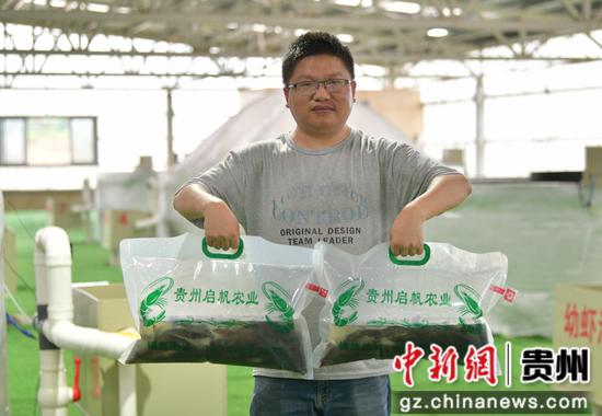 近日，遵义市余庆县的“海鲜陆养”南美白对虾喜获丰收，首批约2000斤对虾上市。白青青 摄