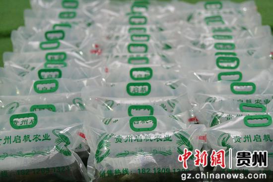 近日，遵义市余庆县的“海鲜陆养”南美白对虾喜获丰收，首批约2000斤对虾上市。白青青 摄