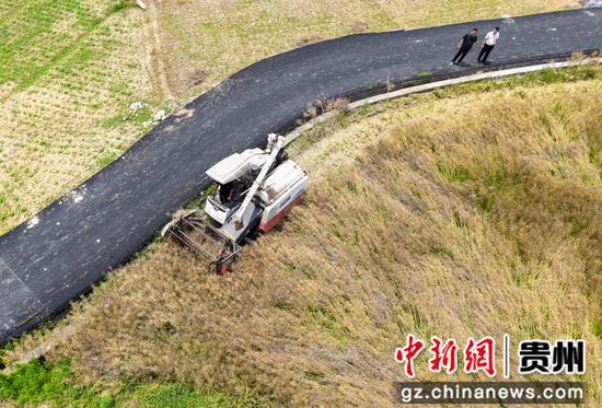 5月22日，农机手在道真自治县三桥镇塘村村收割油菜。（无人机照片）