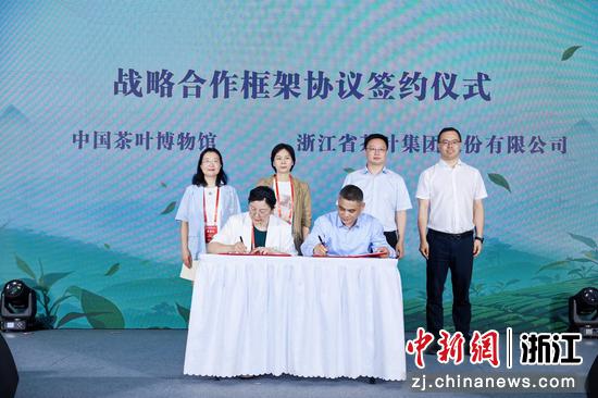 活动现场。 浙江省供销社 供图 活动现场。 浙江省供销社 供图