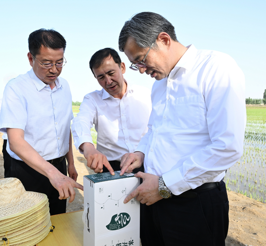 5月25日至26日,自治区党委副书记、兵团党委书记、政委何忠友在二师铁门关市、十四师昆玉市调研。这是5月26日,何忠友在二二五团稻田旁,与有关负责同志交流了解水稻种植、生产效益等。兵团日报全媒体记者 张鑫 摄