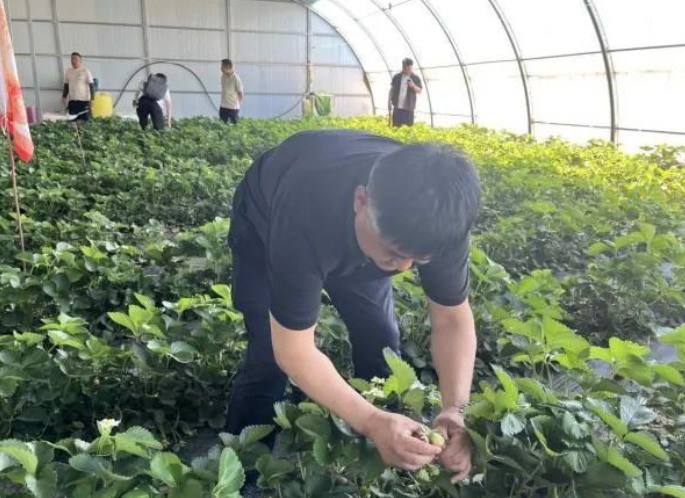 精彩兵团 | 以“绿”为底绘就生态发展新画卷
