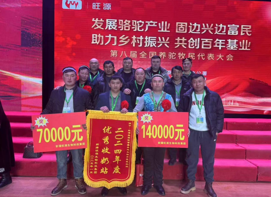 别尔得别克·马汗的家庭牧场所产的骆驼奶因品质纯正,在 2024 年旺源生物组织的第八届全国养驼牧民代表大会上荣获第一名。赵莉 摄 别尔得别克·马汗的家庭牧场所产的骆驼奶因品质纯正,在 2024 年旺源生物组织的第八届全国养驼牧民代表大会上荣获第一名。赵莉 摄
