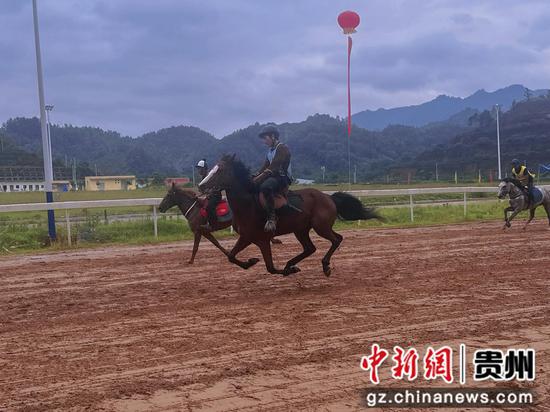 三都马背上的童趣展文化之魅