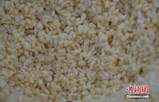 图为质地绵密的绿豆。横州市融媒体中心供图