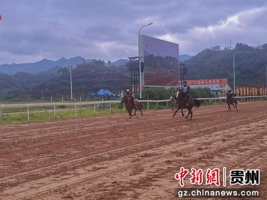 三都马背上的童趣展文化之魅