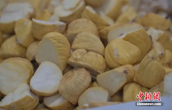 图为软糯香甜的板栗。横州市融媒体中心供图