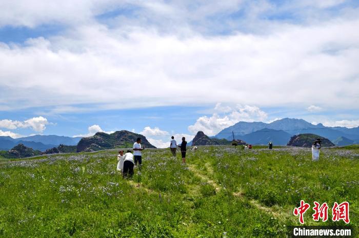 端午节假期新疆S101公路自驾游火热