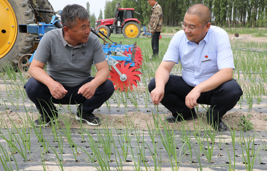 图为6月3日,特克斯县农信社工作人员在向贷款户(左一)了解洋葱种植情况。刘子刚 摄 图为6月3日,特克斯县农信社工作人员在向贷款户(左一)了解洋葱种植情况。刘子刚 摄