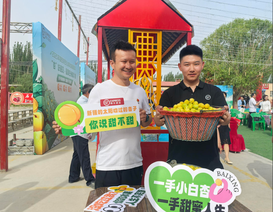 新疆顺丰小哥与果农共同推广轮台白杏。 新疆顺丰小哥与果农共同推广轮台白杏。