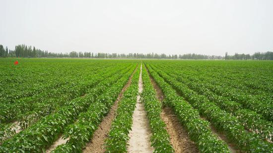 438c07b6515d24e7205186c8137acf18