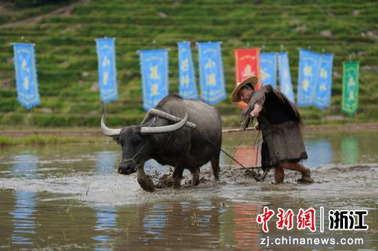 活动现场。云和梯田景区供图