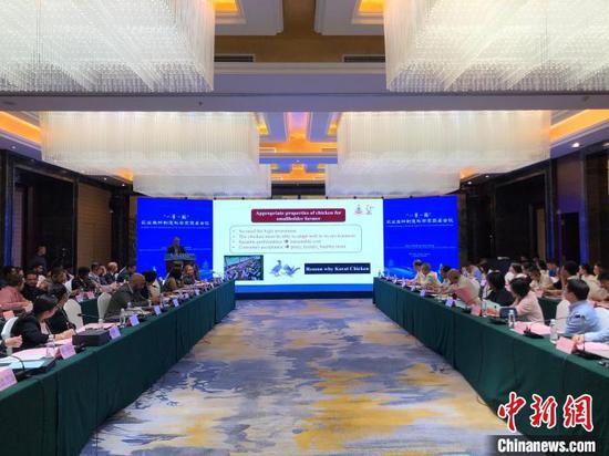 图为会议现场，专家代表做主旨报告。中新网记者张伟 摄