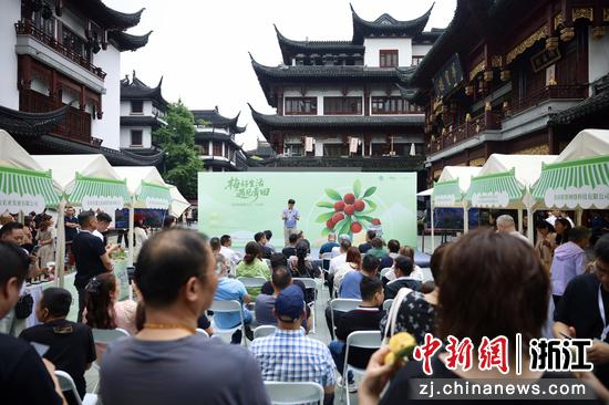 “梅好生活 遇见青田——青田杨梅上海推荐活动”。 金鑫星 供图