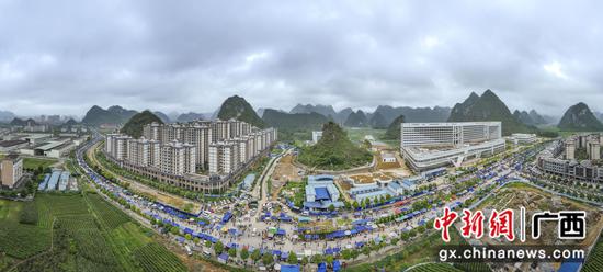 图为靖西端午药市。