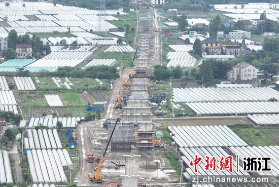 图为:众多高铁桥墩在杭嘉湖平原上拔地而起。(无人机照片) 中新社记者 王刚 摄
