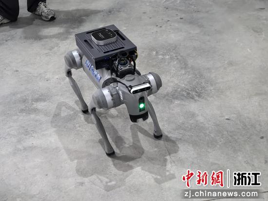 应用于粮仓巡检的四足机器人。 鲍梦妮 摄 