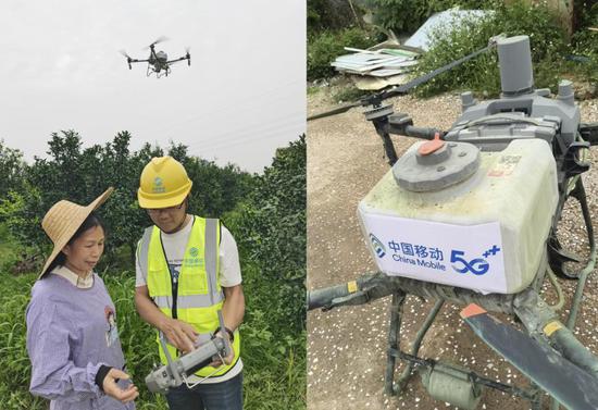 网络工程师指导果农操作使用5G无人机作业。韦庆桃 摄 网络工程师指导果农操作使用5G无人机作业。韦庆桃 摄