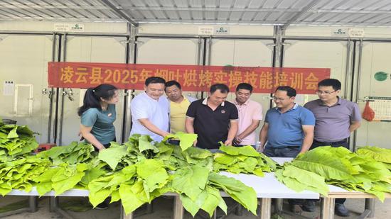 图为学员们鲜烟分类测试前接受培训。马利菊 摄 图为学员们鲜烟分类测试前接受培训。马利菊 摄