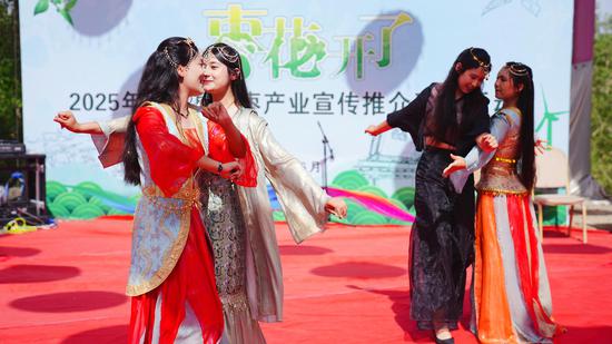 若羌：枣园霓裳舞翩跹 花开香溢引客来