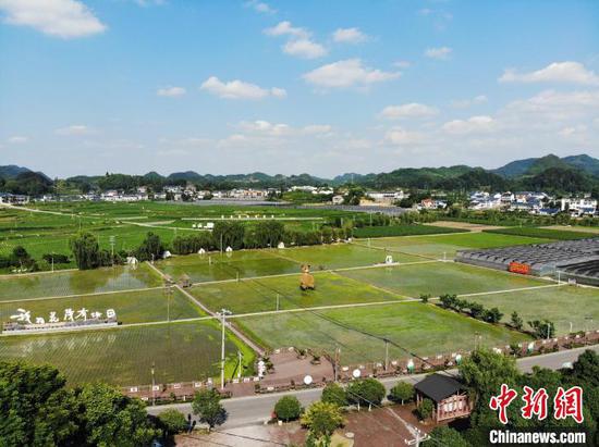 夏日里，贵州省遵义市播州区枫香镇花茂村山中有田、田中有院，融山水田园为一体，一幅山清水秀景美民富的新农村美丽图景呈现在眼前，迷人的田园风光让人流连忘返。花茂村原名“荒茅田”，是个和名字一样荒凉的黔北山村。图为6月12日，航拍贵州省遵义市播州区花茂村田园风光美如画。石小杰 摄
