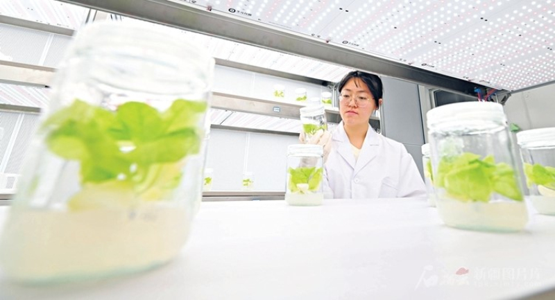 农业高新区如何“高”起来