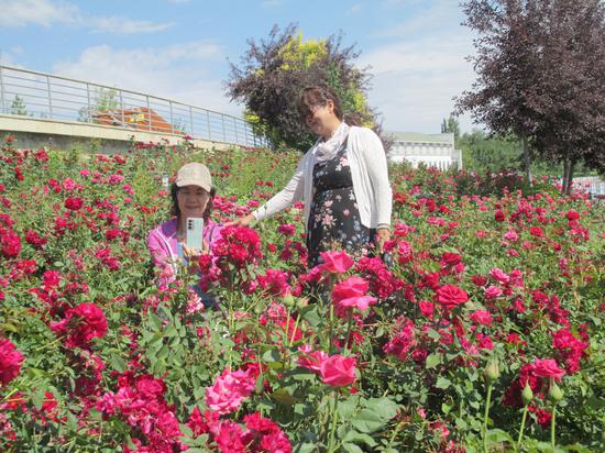 6月9日,吉木萨尔县北庭国家湿地公园,碧水连天、景色怡人、水鸟翔集,迎来了众多游客观赏美景,拍照留念。张德峰 摄 6月9日,吉木萨尔县北庭国家湿地公园,碧水连天、景色怡人、水鸟翔集,迎来了众多游客观赏美景,拍照留念。张德峰 摄