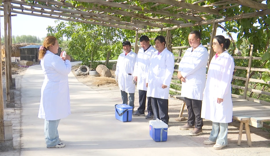 33f66e35ba44c81f674a71af4ed0137c